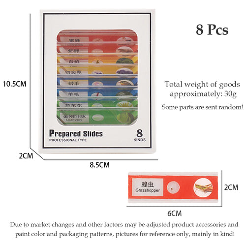Pocket Microscope for Kids, Handheld Mini STEM & Science Toy LED Light