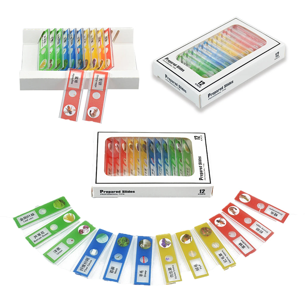 Pocket Microscope for Kids, Handheld Mini STEM & Science Toy LED Light